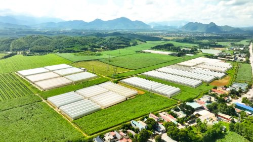 KHu nông nghiệp Công nghệ cao Lam Sơn - Sao vàng.jpg