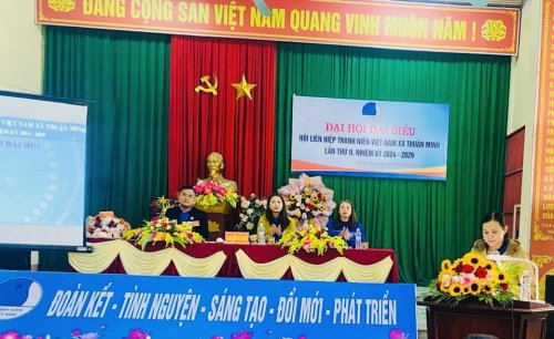 Chị Nguyễn Thị Tú Loan, CHT CH Trường  MN tham luận.jpg