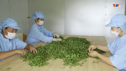 sơ chế.jpg