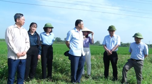 ad và sở đi thăm đồng.png