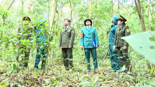 Thọ Xuân tăng cường bảo vệ, PCCC rừng.png