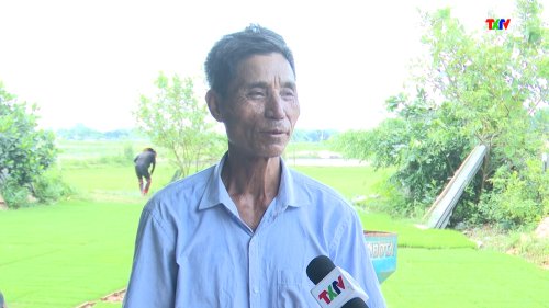 TN1.jpg