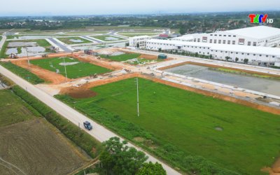 ĐẤU GIÁ QUYỀN SỬ DỤNG ĐẤT TẠI XÃ XUÂN HỒNG